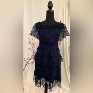 Gianni Bini Navy Lace Dress, size 4